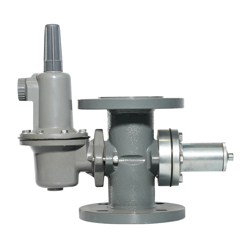 LPG Pressure reducing valve, regulator