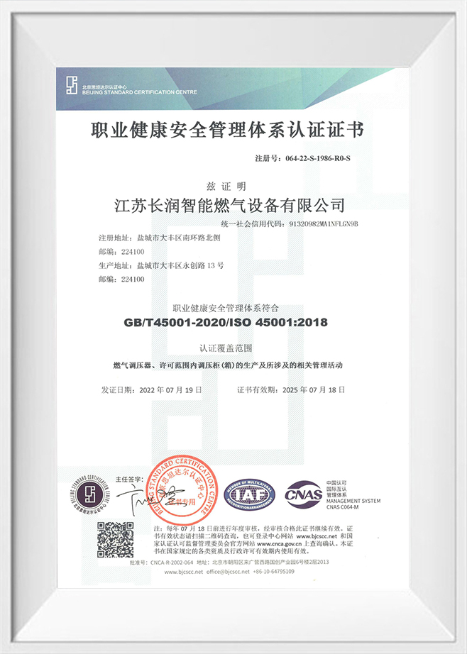 Occupational health and safety management system certification-CN